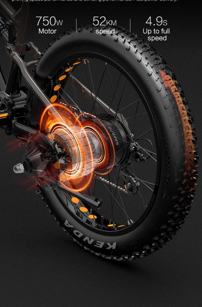 Bicicletta Elettrica Lankeleisi RV800 Plus 1000W per Adulti, E-MTB Full Suspension Fat Tire 48V 20Ah, 42KM/H Freni a Disco Idraulici Bicicletta Fuoristrada