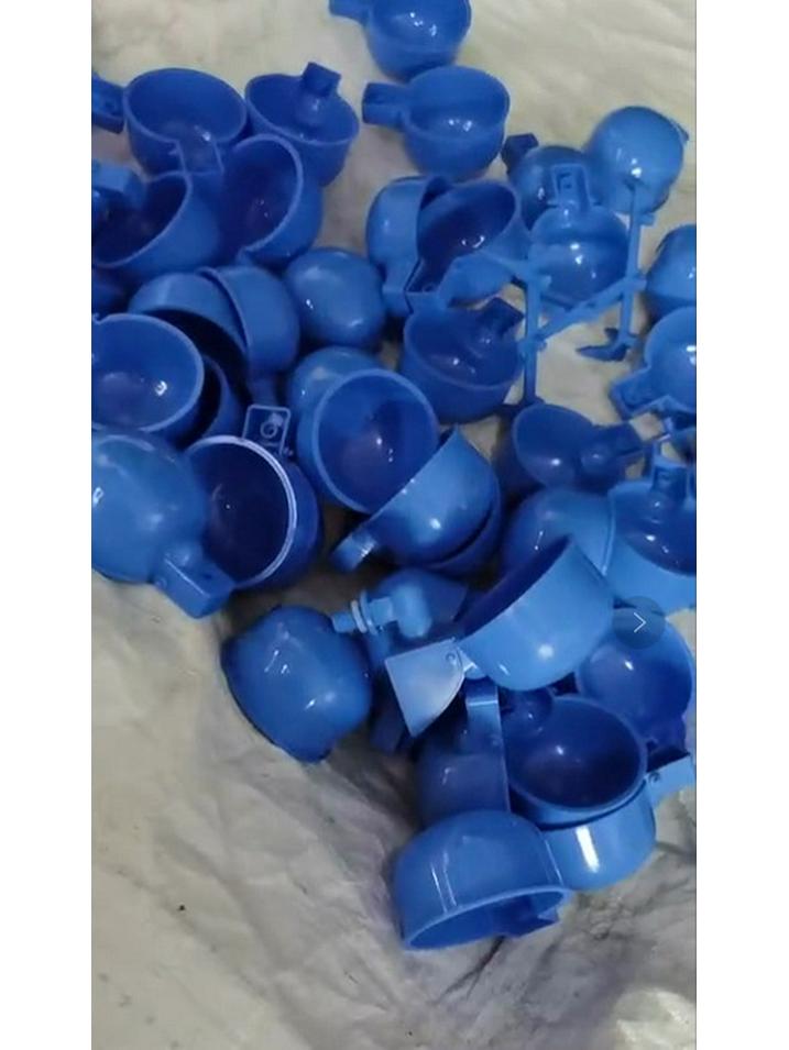 Automatic Drinking Bowl for Baby Chicks, Ducks, Geese, and Quails