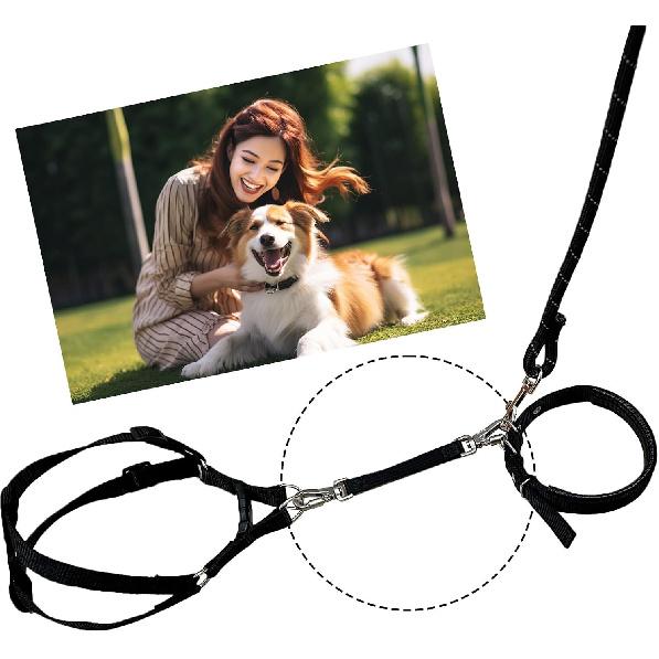 Double Ended Collar Backup Clip for Dog Harnesses, Safety Clip for Prong Collar with Gentle Nylon Webbing for Light Dog