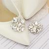 2PCS Shoe Accessories Pearl Brooch Shoe Clip Wedding Shoe Decorations Charm Buckle Shiny Decorative Clips