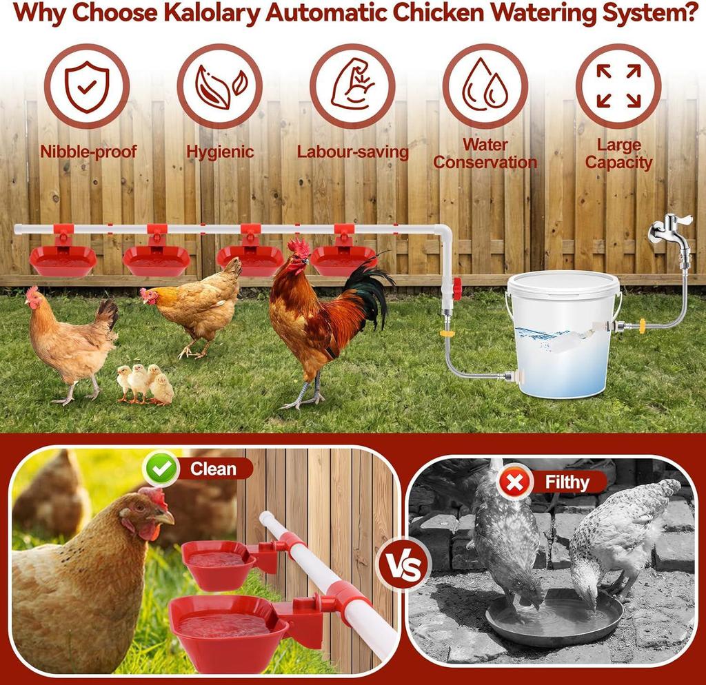 Automatic Poultry Watering System: Full Set of Integrated Chicken Drinking Cups