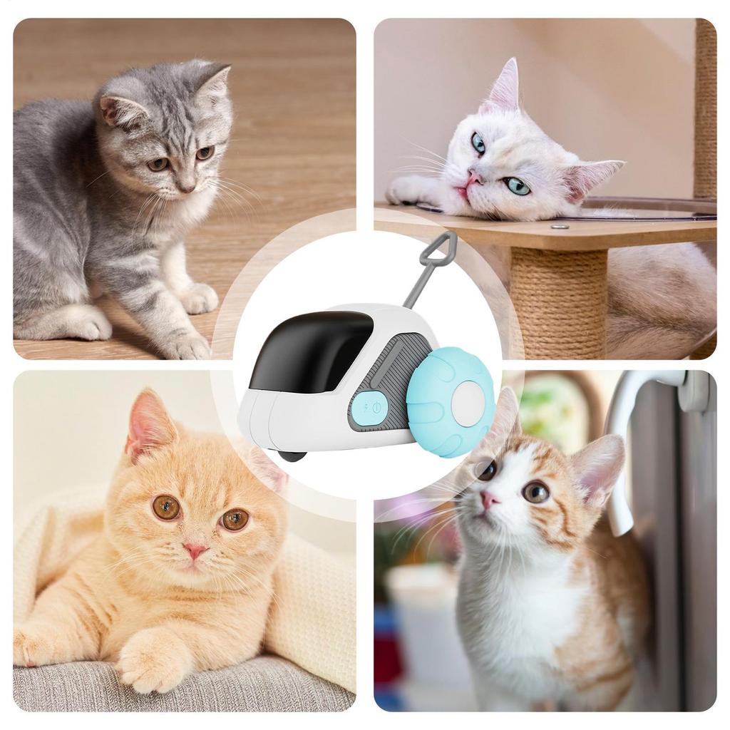 Toys For Indoor Cats Electronic Funny Remote Control Pet Supplies Cats Remote Control Toy For Small Medium Large Kitten Home