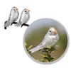 12Pcs/Set Artificial Simulation Foam Bird Set Mini Cute Birds Ornaments Glitter DIY Craft for Home Garden Christmas Tree Decoration