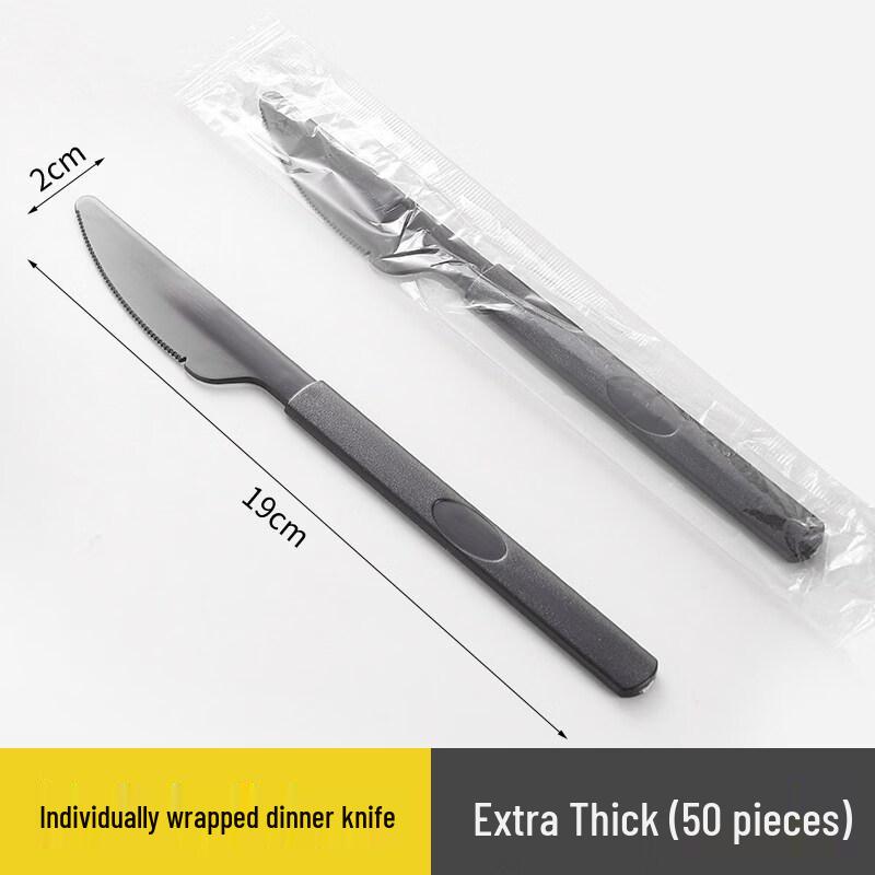 ZISIZ Individually Packaged Disposable Plastic Spoon and Fork