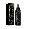 Spray Désodorisant pour Chaussures 100ml, Éliminateur d'Odeurs Parfum Pin pour Baskets, Bottes & Chaussures, Doux & Longue Durée, Portable & Pratique pour le Voyage