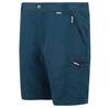 Regatta Leesville III Shorts