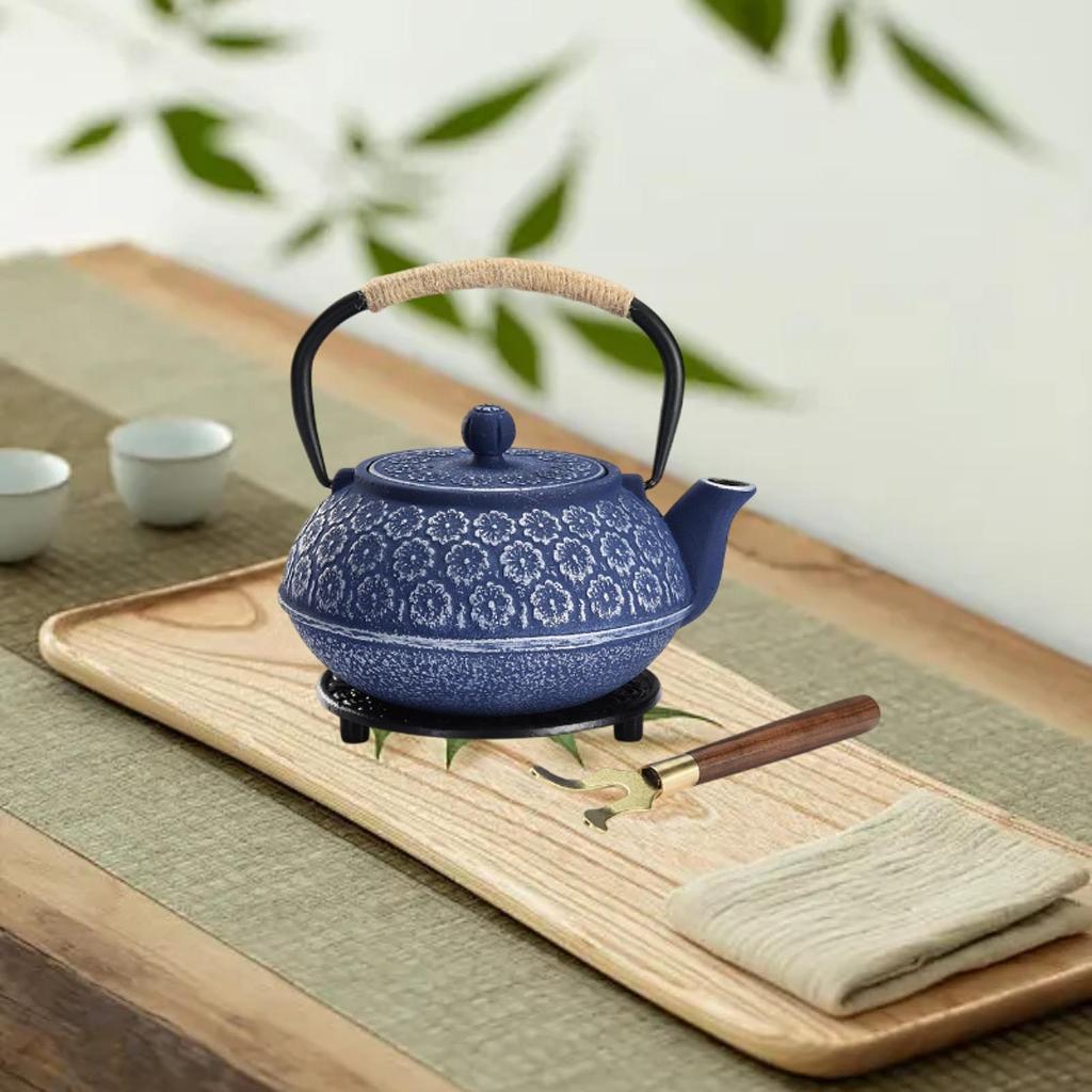 Japanese Cast Iron Teapot Internal Enamel for Loose Leaf Tea Bags Indoor