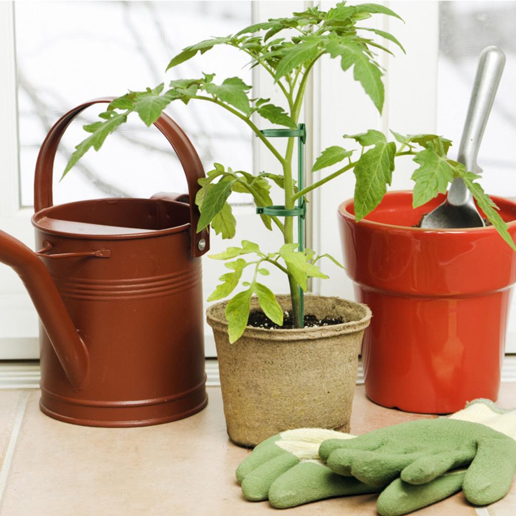 Plant Stakes 40cm/15.7in Collapse Prevention Garden Plant Stem Support Stakes for Orchids Tomatoes