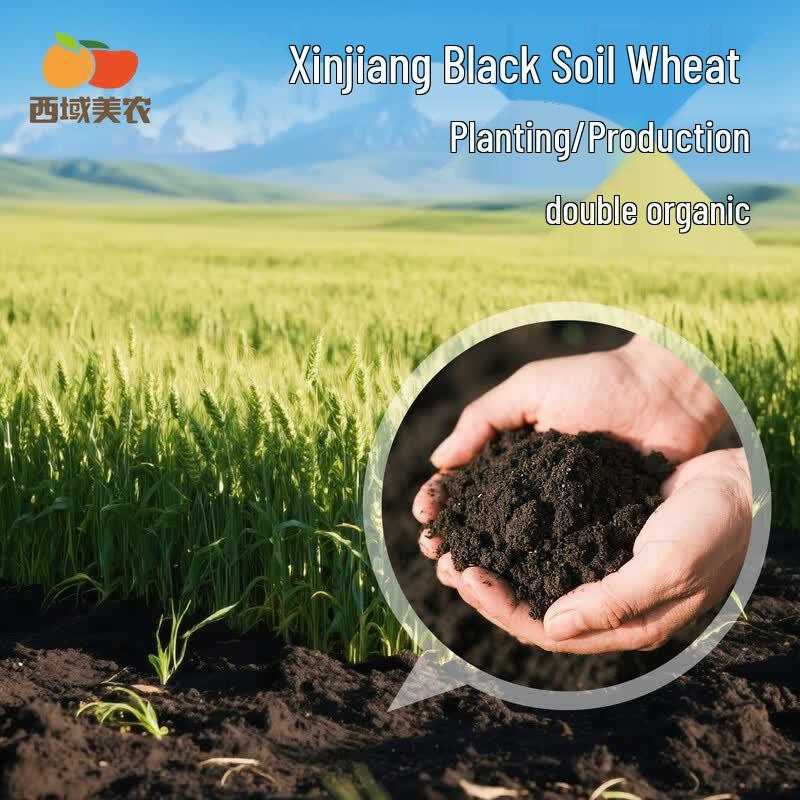 Xiyu Meinong Organic Specialty Flour
