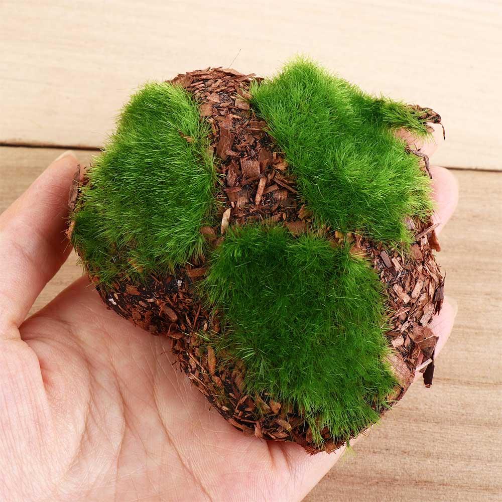 For Vase Glass Cylinder DIY Artificial Plant Moss Micro Landscap Fake Stone Rock Foam Moss Stone