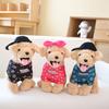 Cute Dressed Puppy Dog Doll Plush Toy Labrador Doll Children Sleeping Soothing Pillow Ragdoll