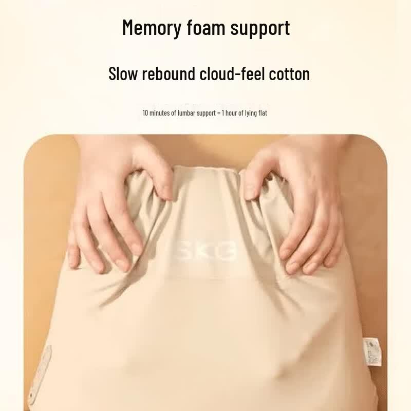 SKG V5 Heated Lumbar Massager CN plug (adapter included)