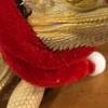 1 Set Reptile Hats with Scarf Holiday Dress Up Soft Christmas Lizard Santa Hat for Amphibians