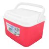 Warmer Cooler Constant Temp Long Lasting Portable Refrigerator Box with Handle for Food Medicine