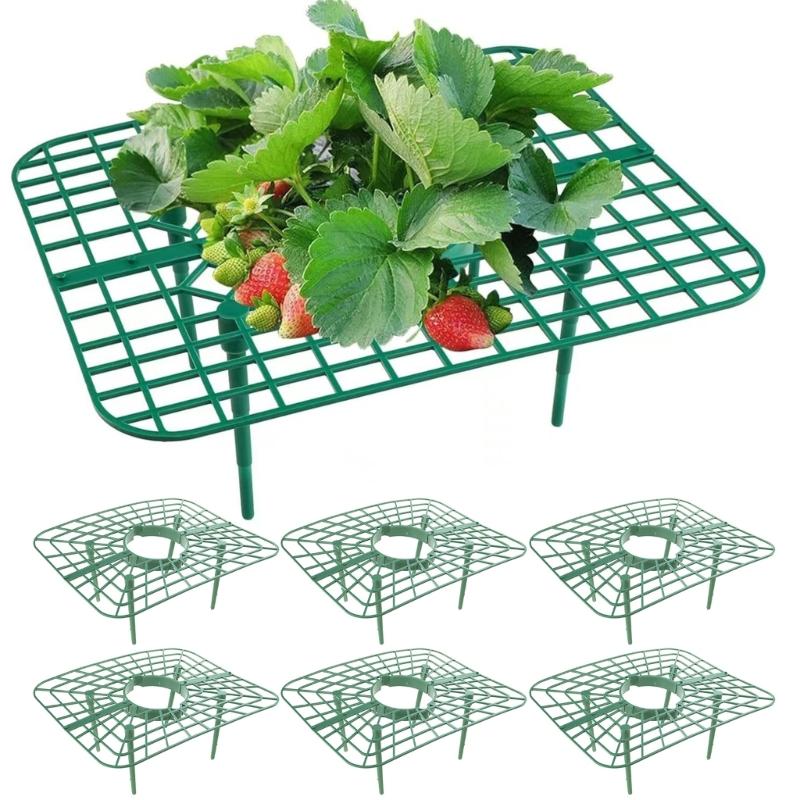 1/6/8 Adet Çilek Bitkisi Desteği Çilek Dikim Standı Çilek Bitkisini Tutma Çilek Yetiştirme Rafı Yetiştirme