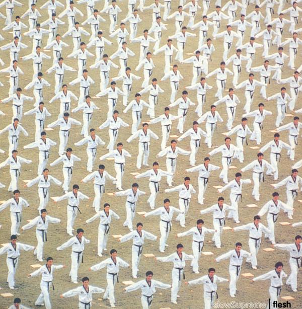 

12inch Record SLOW SUPREME Flesh Granada AZID002 Jazid Collectiv 2000 Non Japan Dance Electronica Used