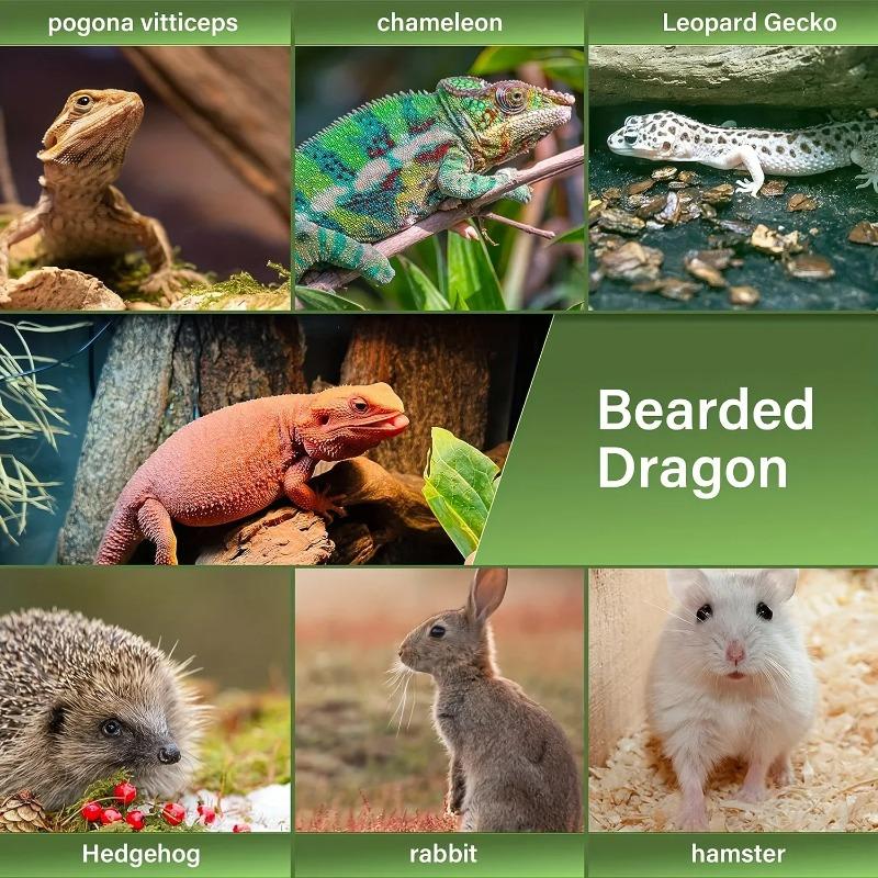 1 postroj pro zvířata s nastavitelnými a pohodlnými popruhy pro ještěrky a plazy, prodyšný a vhodný pro venkovní aktivity