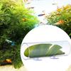 Acrylic Betta Tunnel Tank Decoration Round Tube Hollow Design Betta Fish Tube Tunnel With Leaves Pad Transparent