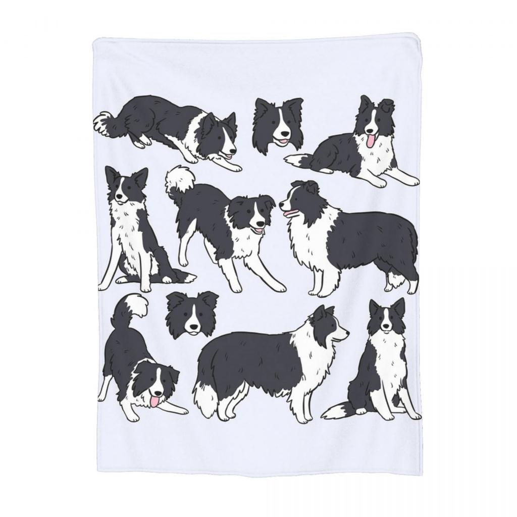 Border Collie Dog Cute Pattern Blanket Soft Warm Flannel Throw Blanket Cover for Bed Living Room Picnic Travel Home Couch