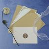 Papel de embrulho – Envelopes para prendas