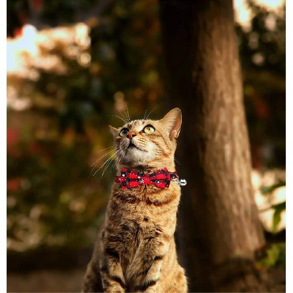 Malier Cat Collar with Christmas Snowflake Pattern Bow tie and Tiny Bell, Adorable Collar with Light Adjustable Buckle Pet Accessories for Kitten