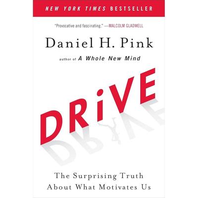Drive: The Surprising Truth About What Motivates Us