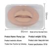5D Realistic Silicone Lip Practice Module for Microblading Beginners