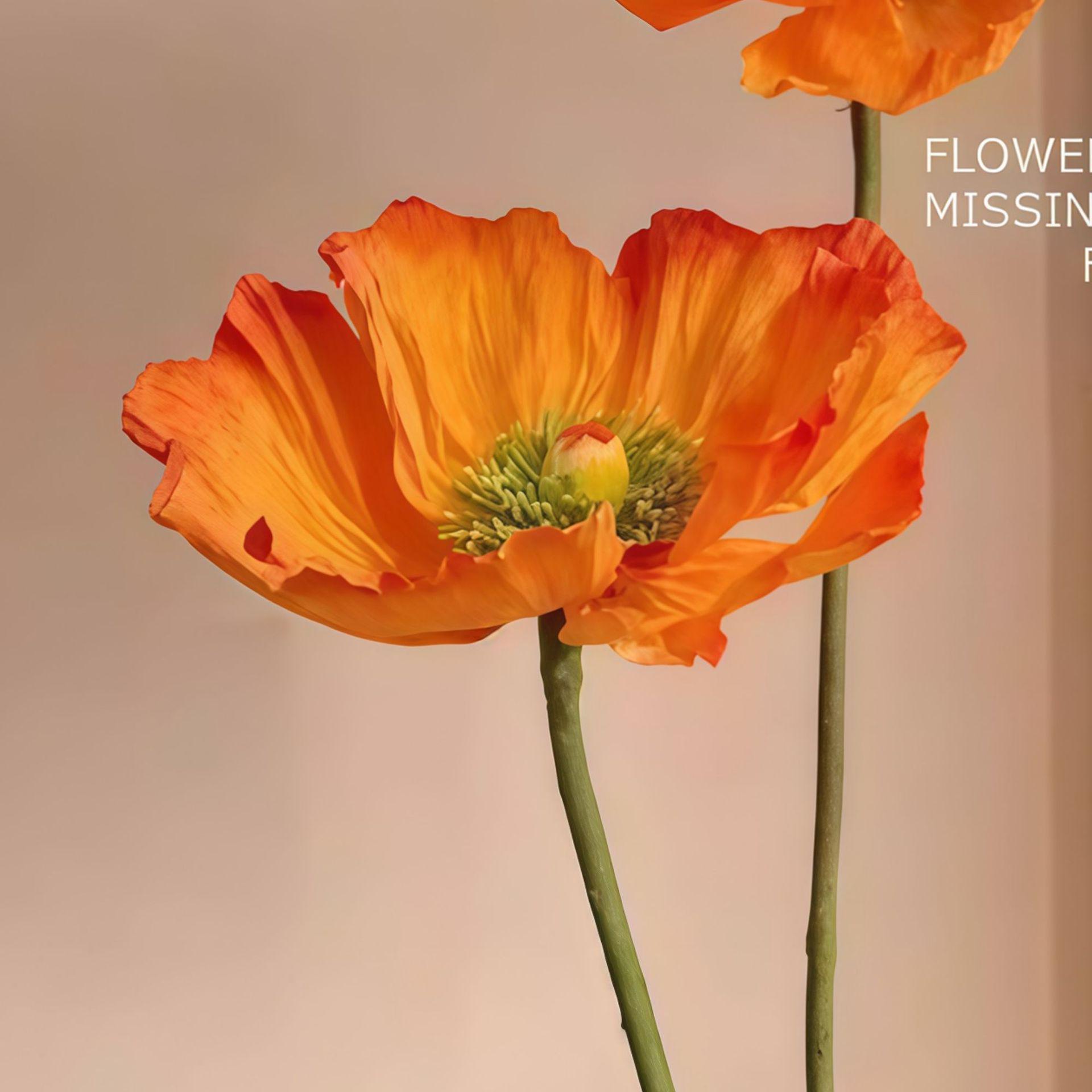 Poppy Large Paper Flower for Window
