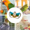 Paukščių smulkintuvų žaislai Mažų papūgėlių kramtomieji žaislai Papūgos narvas Pašaro kabinamas žaislas Mažiems paukščiams Banguotajoms papūgėlėms Papūgėlėms Meilės paukščiams Kakadu