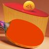 DOUBLE FISH Professional Diamond Series Table Tennis Racket