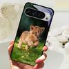 Gehärtetes Glas Handyhülle Für Google Pixel 9 Pro XL Hartes PC Funda Für Google Pixel 9a Pixel9 5G Niedliches Tier Glas Rückseite