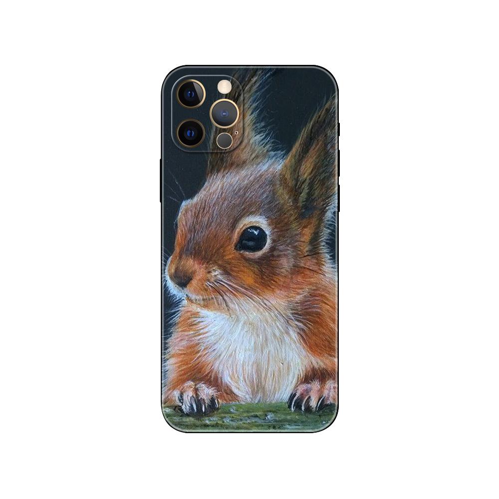 

Чехол для телефона с милой белкой для iphone 5 5S 2020se 6 6s 7 8 plus x 10 XR XS 11 12 13 mini pro MAX, черная задняя крышка из ТПУ iphone se 2020