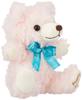 Poetry Teddy Psyche: 702624 Teddy Bear Plush Toy (Pink16cm)