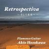 HoSokawa Akio S recollectionS  And To The Future 