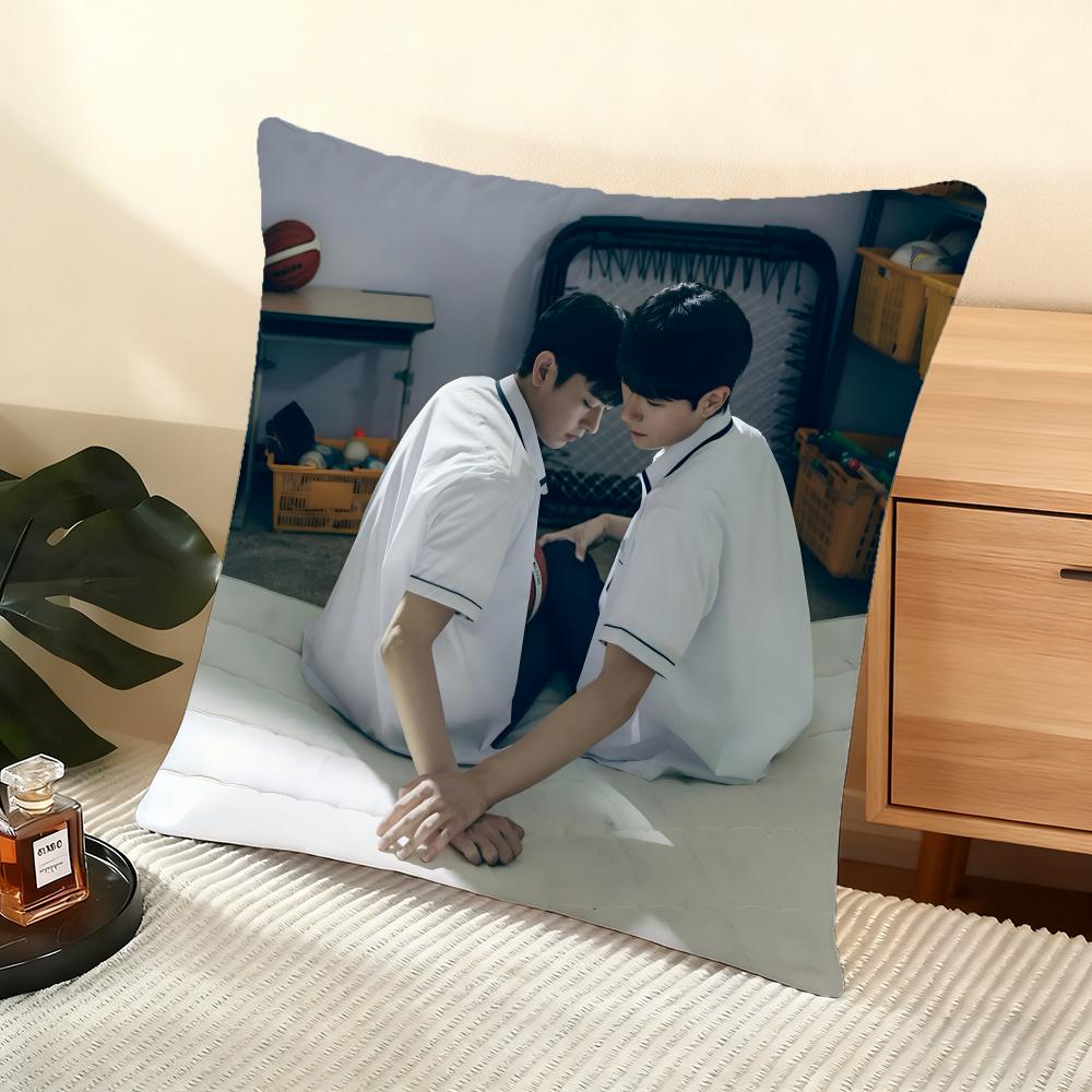 Cushion Cover Silky Short Plush Home Sofa Cushion Cover - Invisible Zipper Home Decoration A Breeze Of Love