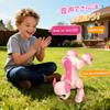 Robot Musical Voice Follows Interactive Toy for Boys and Birthday Soothing Christmas Gift for Kids and the Family Dog, Playing, Programmable,