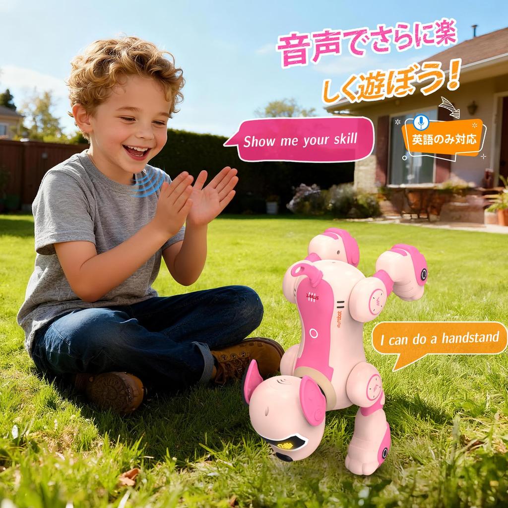 Robot Musical Voice Follows Interactive Toy for Boys and Birthday Soothing Christmas Gift for Kids and the Family Dog, Playing, Programmable,
