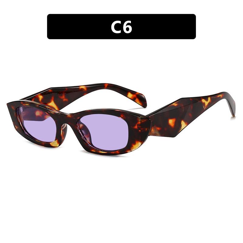 Cat Eye Small Frame Sunglasses for Women Outdoor Retro Fashion Sun Glasses UV400 Protection Vintage Chic Eyewear