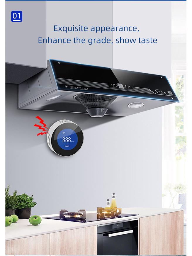 Detectoare de gaz natural Graffiti WiFi Alarme