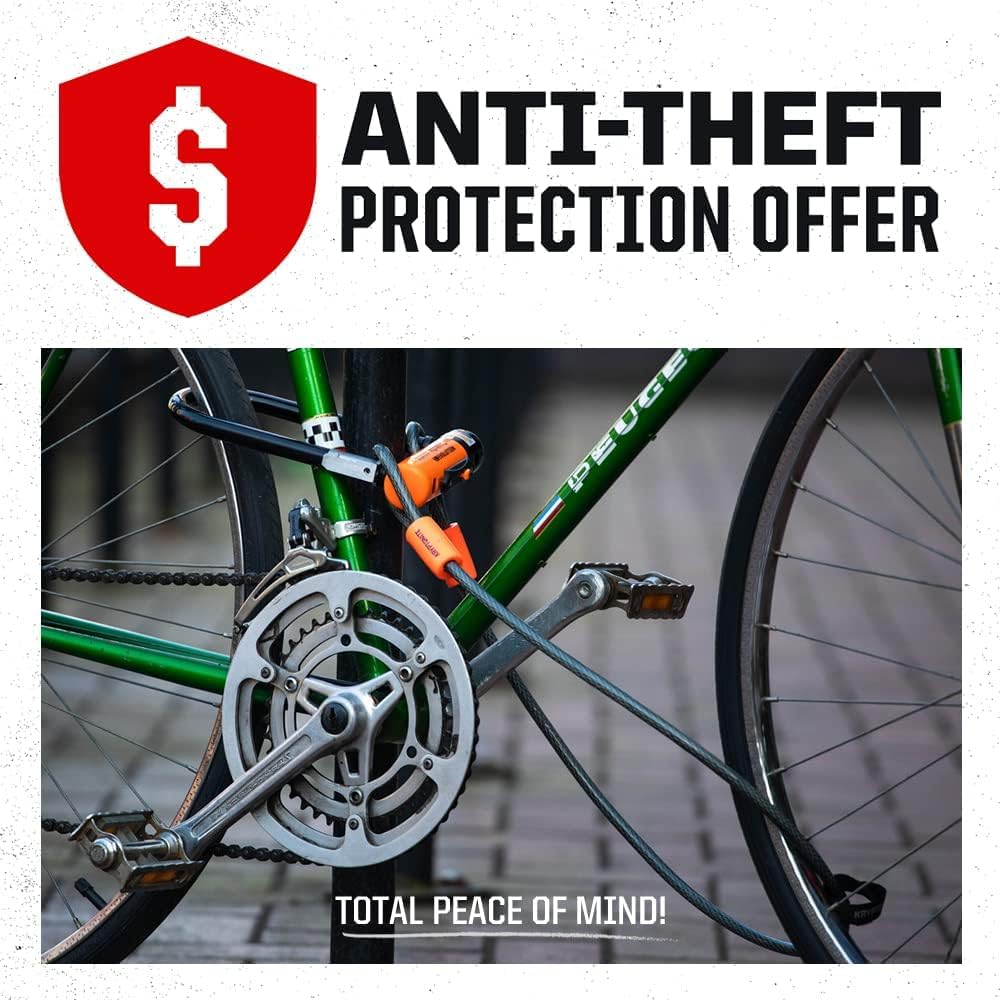 KRYPTONITE NEW YORK LOCK Chain 1210 EV4 999515 [NY & Disc]