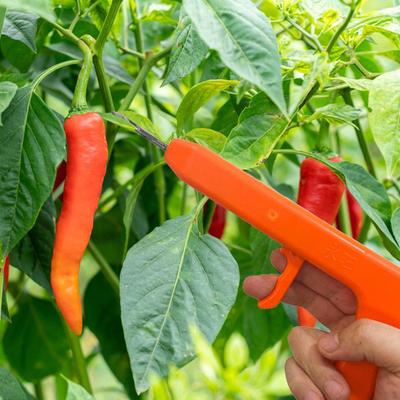 Pepper Scissors Harvesting Tool Efficient Household Ergonomic Handheld Chili Picking Picker