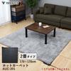 Yamazen Hot Carpet, Electric Carpet, 2 Tatami Mats (170cm x 170cm), Power Saving, Dust Mite Prevention Function, 5 Temperature Adjustment Levels, Heat