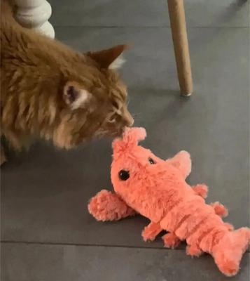 Cani – Giocattoli per cani