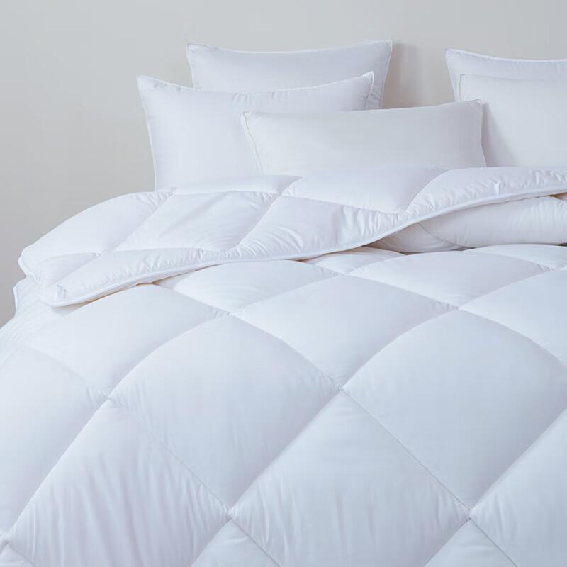 Mengjie Down Alternative Duvet Insert