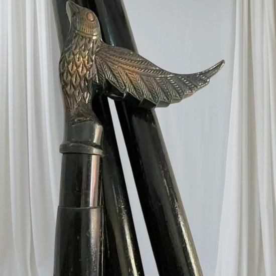 Nautical Brass Bird Head Handle Walking Stick Pirate Style Wooden Designer Cane Collectible Gift