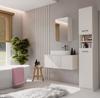 Hanging Bathroom Cabinet with Mirror Above Sink Pola 1Dl 1 Door Cashmere