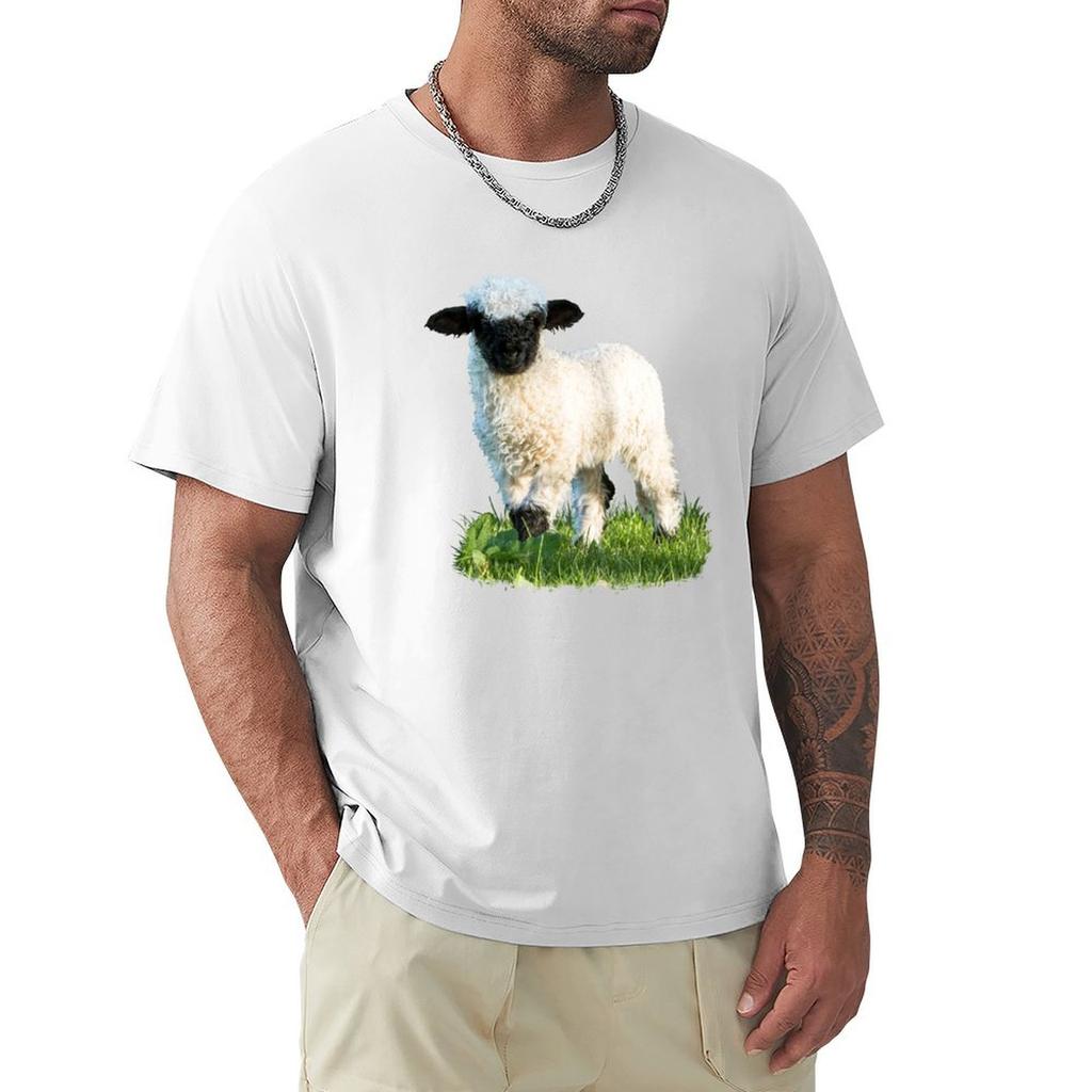 Valais Blacknose Lamb In A Meadow Tshirt Work Daily Short Sleeve Top
