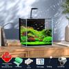 Compact Ultra-White Glass Fish Tank with Back Filter - Minimal Maintenance Desktop Aquarium for Goldfish