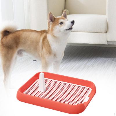 Köpek – Köpek bakım ürünleri
