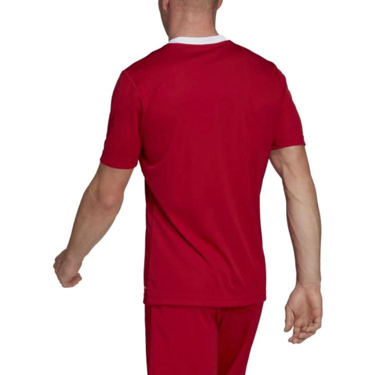 adidas T Shirts Men's Red V Neck Moderate Straight Fit H61736
